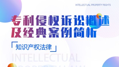 专利侵权诉讼概述及经典案例简析